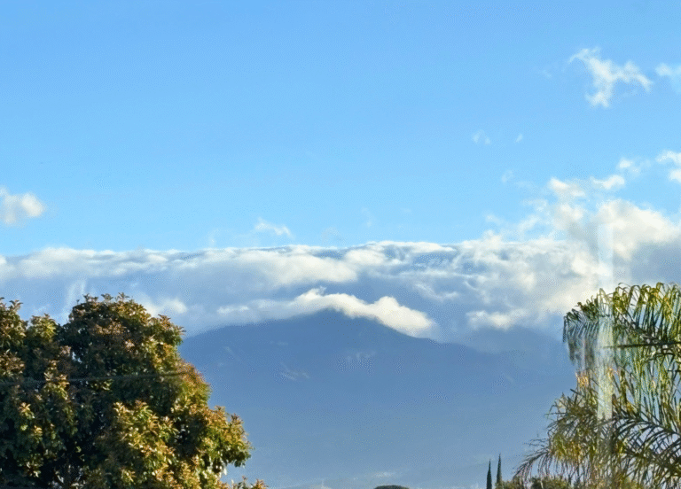 Why I Said Yes to Mexico ~ Tricia’s Story